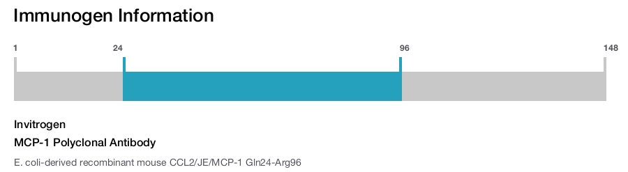 MCP-1 Polyclonal Antibody
