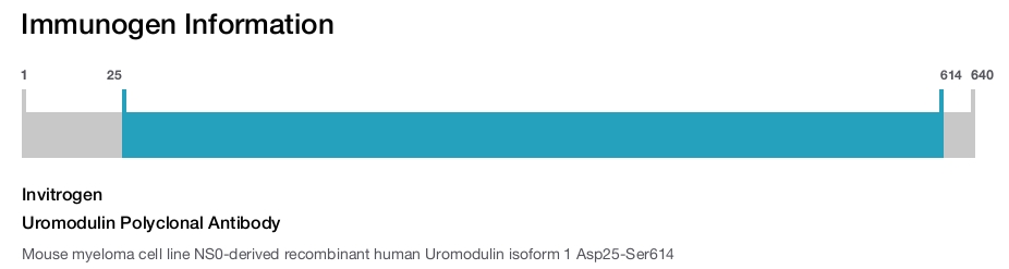 Uromodulin Polyclonal Antibody