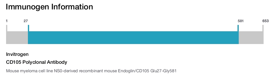 CD105 Polyclonal Antibody