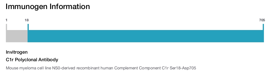 C1r Polyclonal Antibody