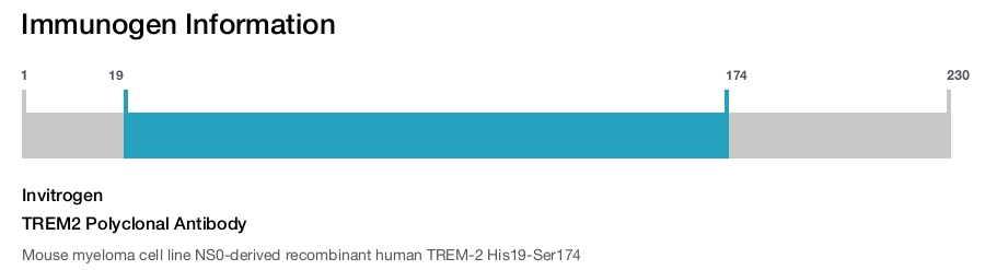 TREM2 Polyclonal Antibody