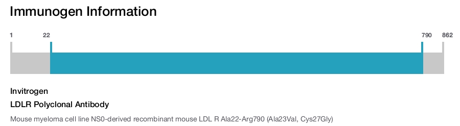 LDLR Polyclonal Antibody