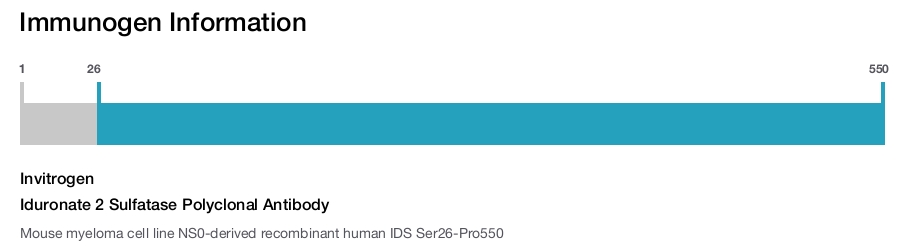 Iduronate 2 Sulfatase Polyclonal Antibody