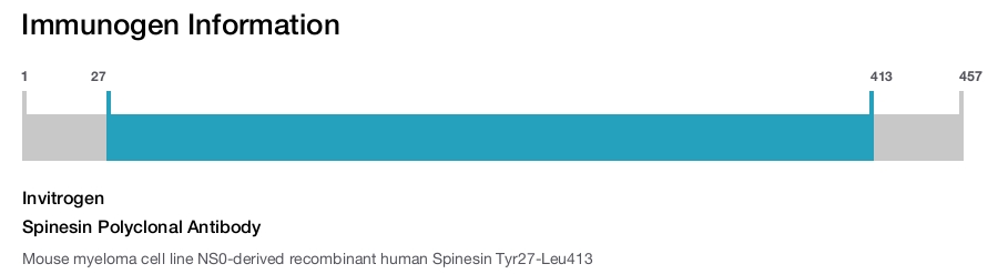 Spinesin Polyclonal Antibody