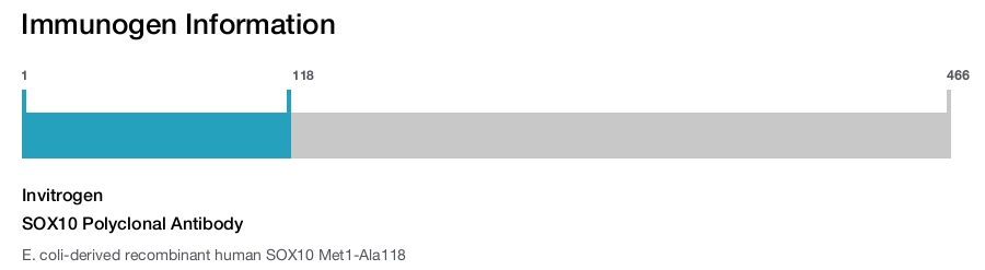 SOX10 Polyclonal Antibody