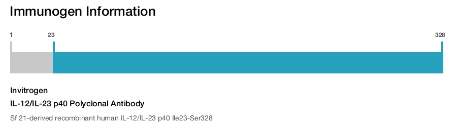 IL-12/IL-23 p40 Polyclonal Antibody