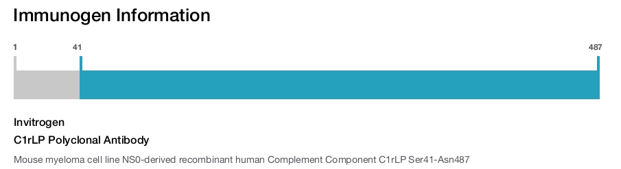 C1rLP Polyclonal Antibody