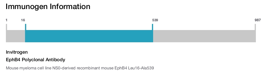 EphB4 Polyclonal Antibody