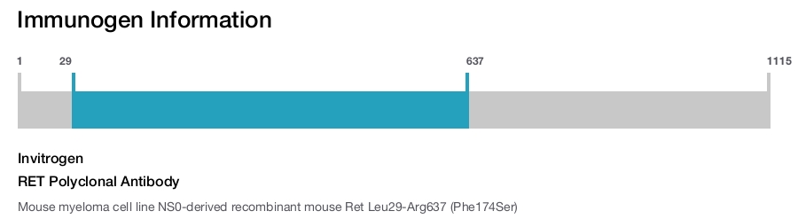RET Polyclonal Antibody