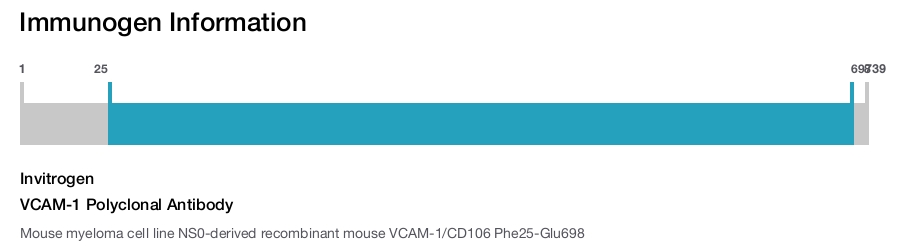 VCAM-1 Polyclonal Antibody
