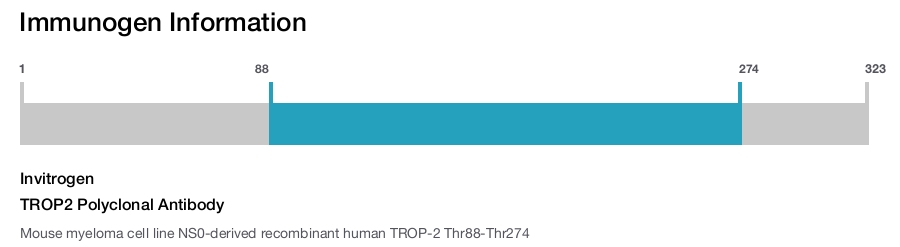 TROP2 Polyclonal Antibody