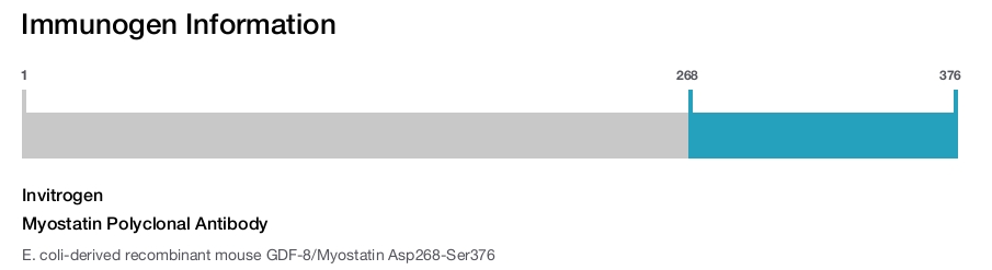 Myostatin Polyclonal Antibody