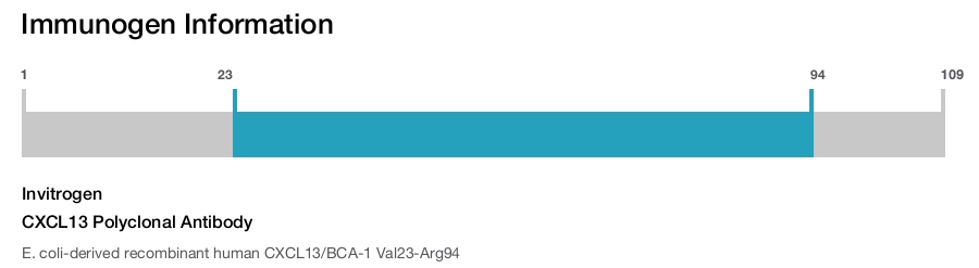 CXCL13 Polyclonal Antibody