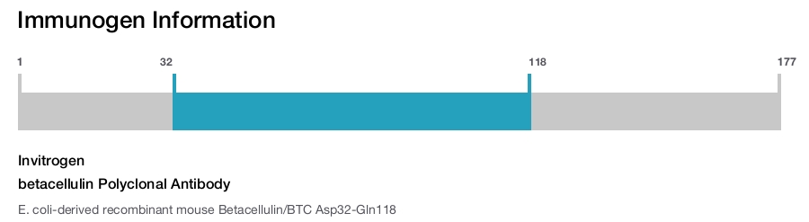 betacellulin Polyclonal Antibody