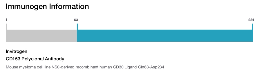 CD153 Polyclonal Antibody
