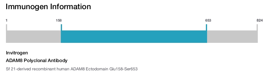 ADAM8 Polyclonal Antibody