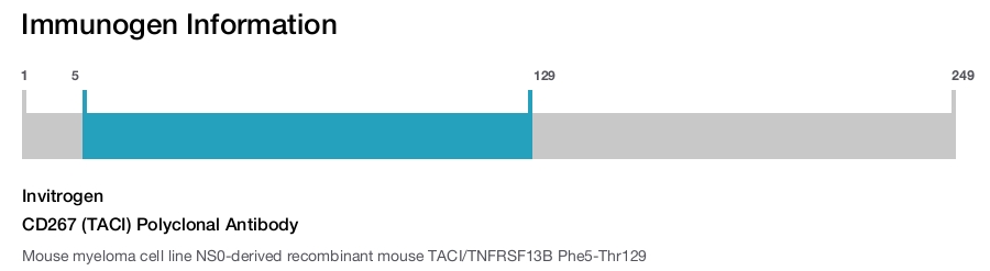 CD267 (TACI) Polyclonal Antibody