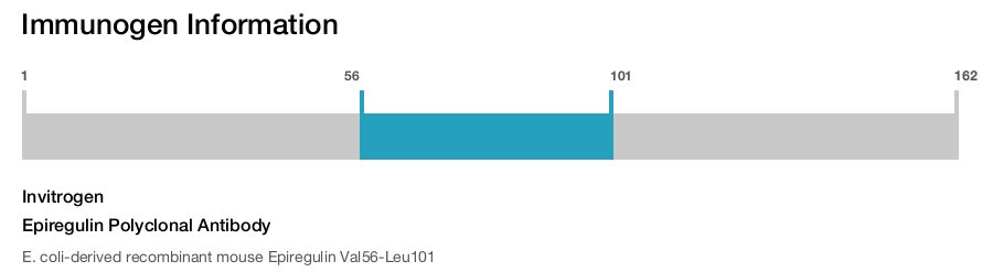 Epiregulin Polyclonal Antibody