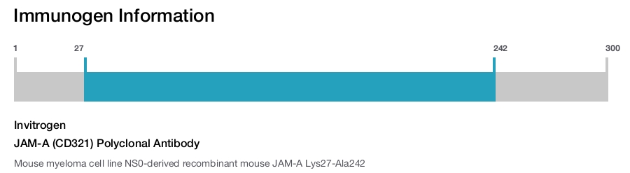 JAM-A (CD321) Polyclonal Antibody