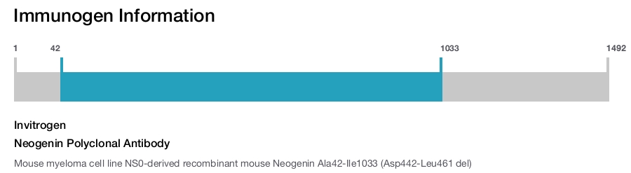 Neogenin Polyclonal Antibody