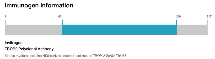 TROP2 Polyclonal Antibody