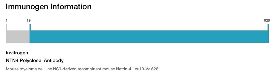 NTN4 Polyclonal Antibody