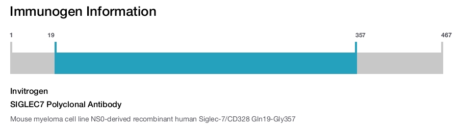 SIGLEC7 Polyclonal Antibody