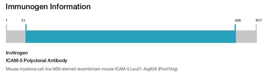 ICAM-5 Polyclonal Antibody