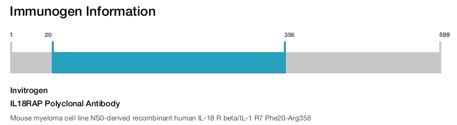 IL18RAP Polyclonal Antibody