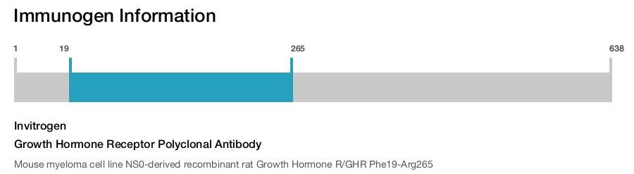 Growth Hormone Receptor Polyclonal Antibody