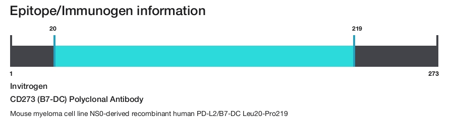 CD273 (B7-DC) Polyclonal Antibody