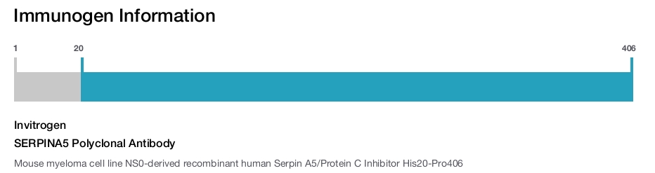SERPINA5 Polyclonal Antibody