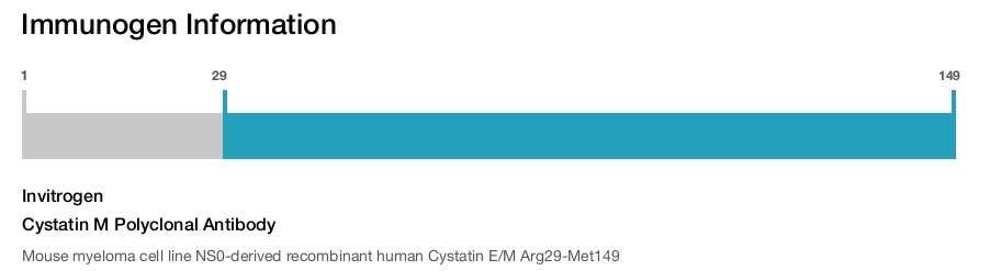 Cystatin M Polyclonal Antibody
