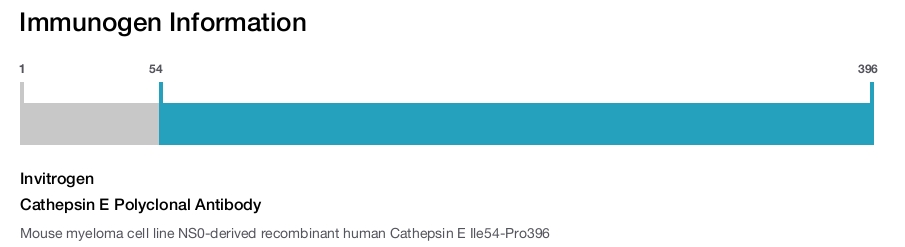 Cathepsin E Polyclonal Antibody