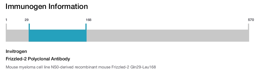 Frizzled-2 Polyclonal Antibody