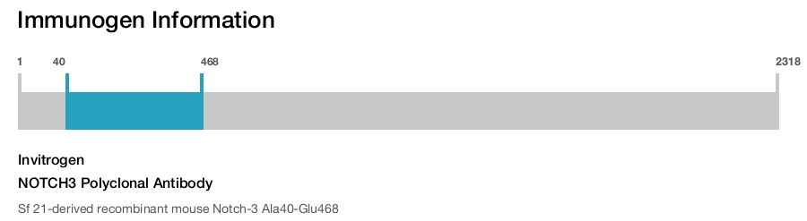 NOTCH3 Polyclonal Antibody