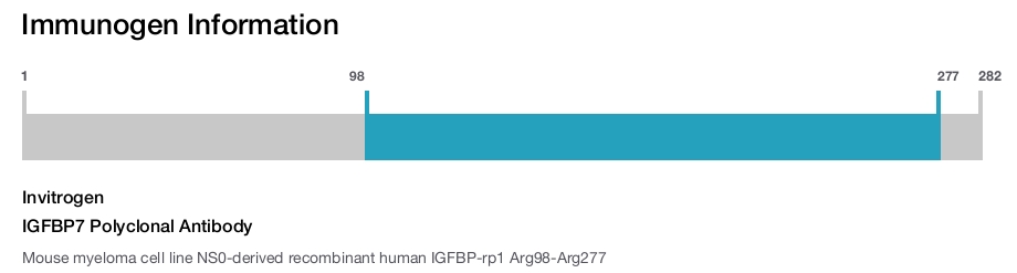 IGFBP7 Polyclonal Antibody