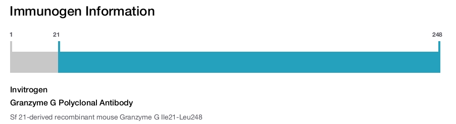 Granzyme G Polyclonal Antibody