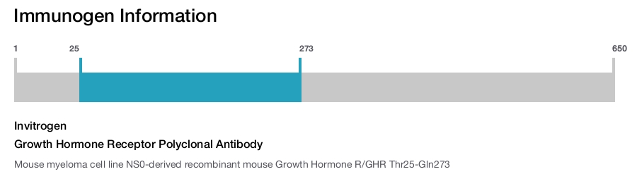 Growth Hormone Receptor Polyclonal Antibody