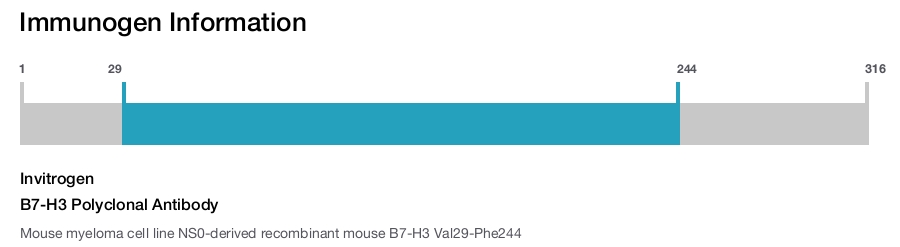 B7-H3 Polyclonal Antibody
