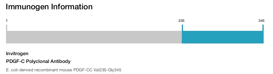 PDGF-C Polyclonal Antibody