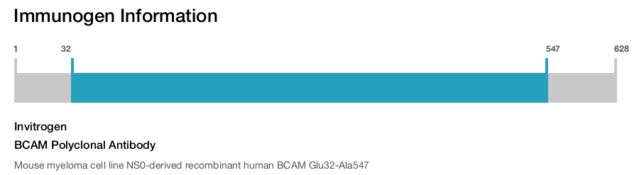 BCAM Polyclonal Antibody