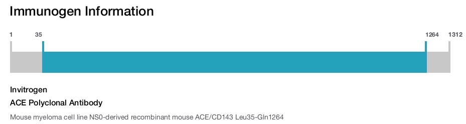 ACE Polyclonal Antibody