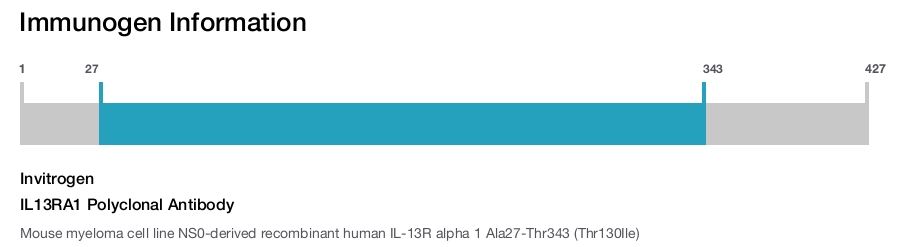 IL13RA1 Polyclonal Antibody