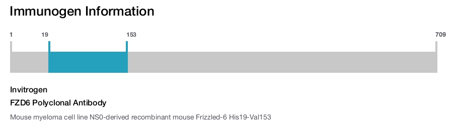 FZD6 Polyclonal Antibody