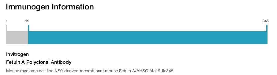 Fetuin A Polyclonal Antibody