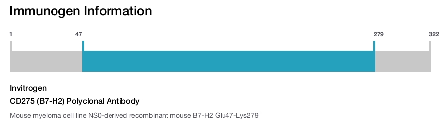CD275 (B7-H2) Polyclonal Antibody
