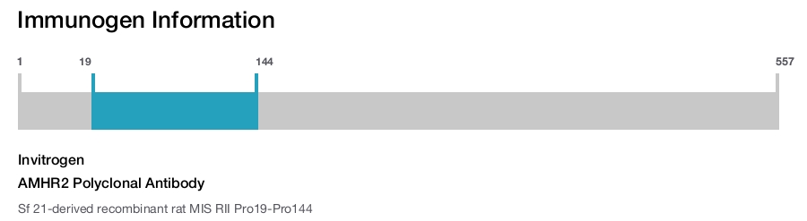 AMHR2 Polyclonal Antibody