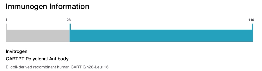 CARTPT Polyclonal Antibody