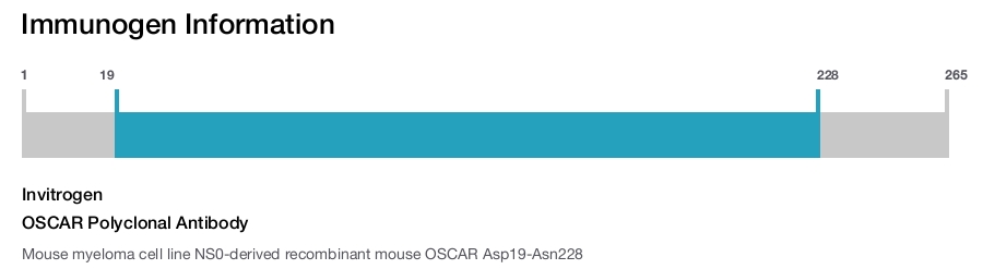 OSCAR Polyclonal Antibody